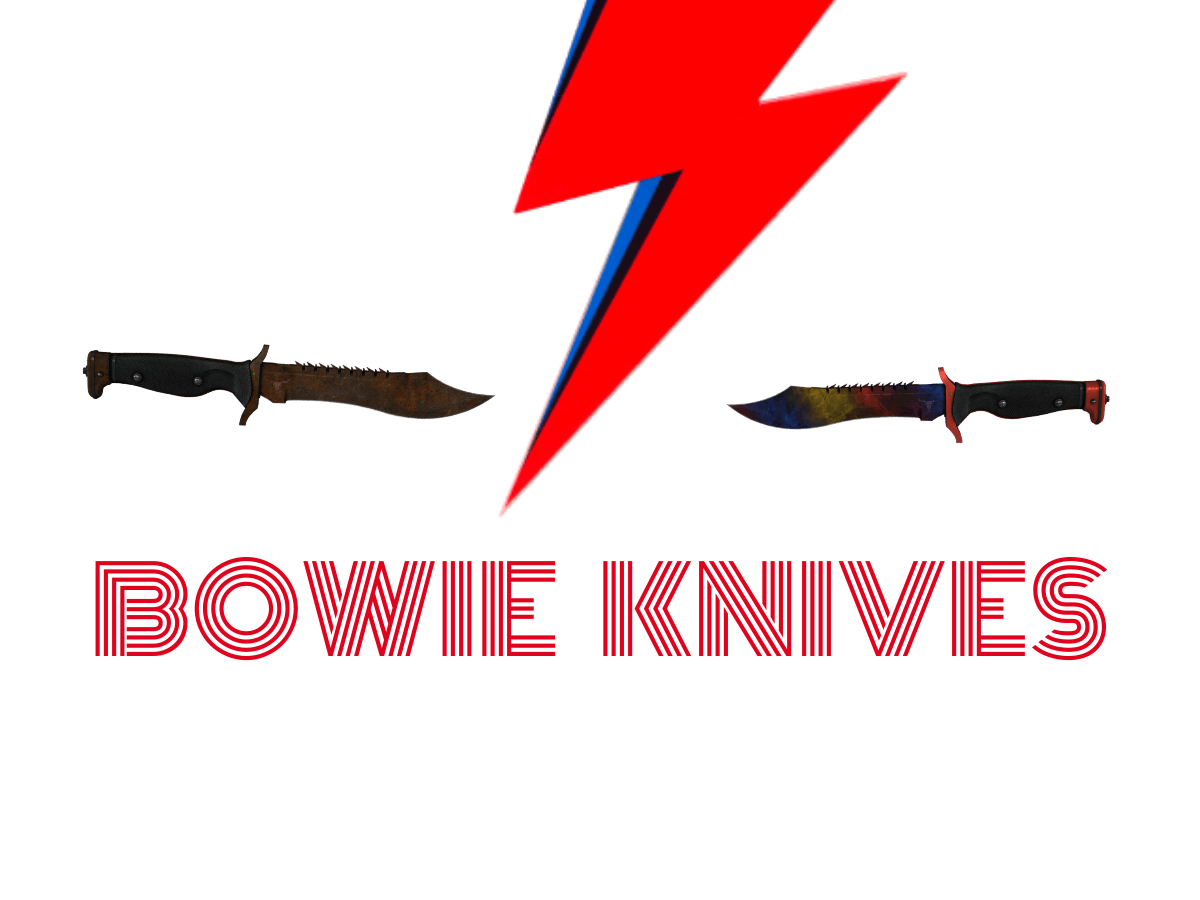 csgo bowie knife skins