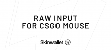 Mouse Raw Input CSGO Guide