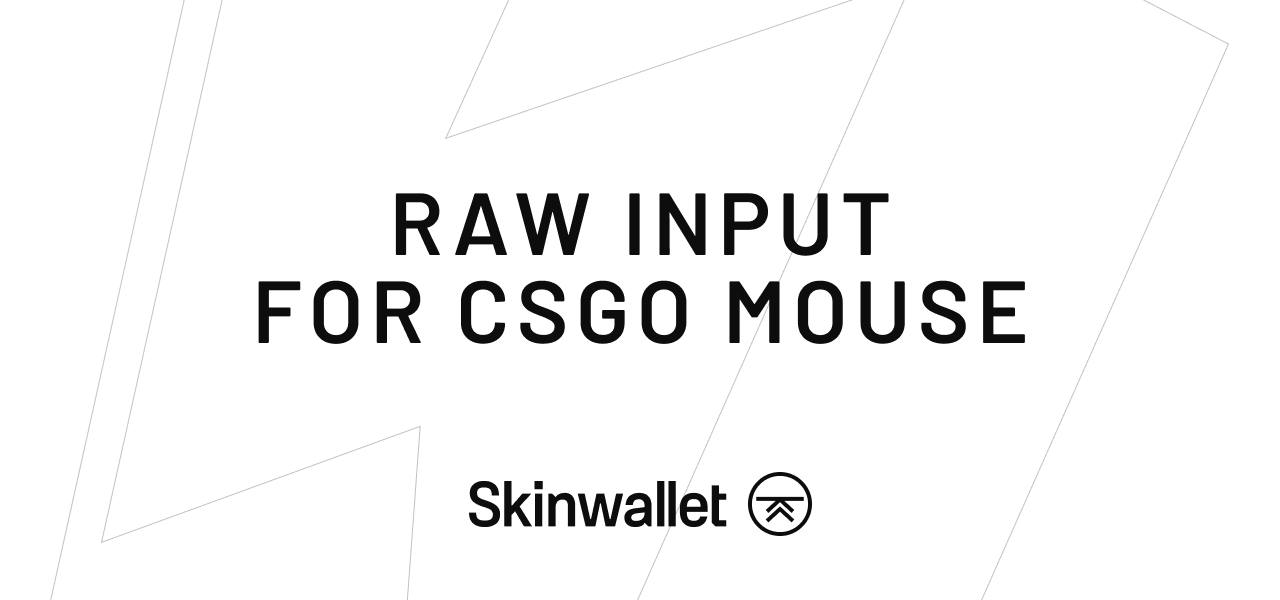 raw input for csgo mouse
