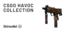 What Are The Best Havoc Collection CSGO Skins?