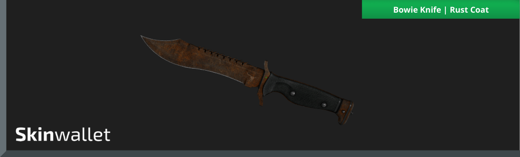 csgo bowie knife rust coat